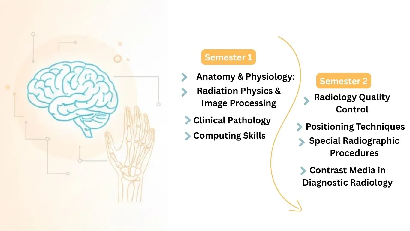 radiology-diploma